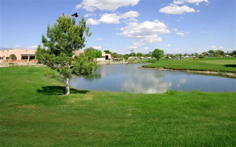 Ladera golf course. Bill Harvey Golf LLC. May 2016 - Present 7 years 7 months. Albuquerque, New Mexico Area. Director of Golf Ladera Golf Course. 27 hole public course. Turned around a failing public course that was ... 