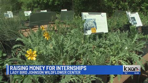 Lady Bird Johnson Wildflower fundraiser aims to inspire next generation of conservationists