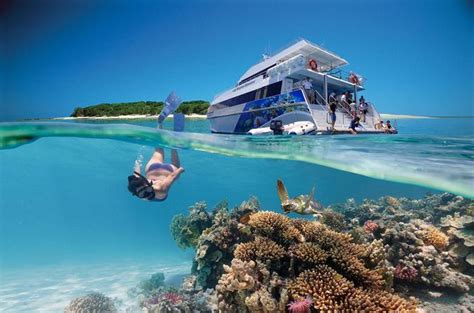 Lady Musgrave Island Tours And Attractions - Barrier Reef Australia