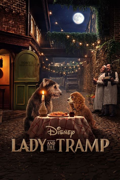 Lady a n d the tramp 2019. Credit goes to Disney! 