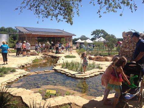 Lady bird johnson wildflower center. The new Center opened in 1995. In 1998, it was renamed the Lady Bird Johnson Wildflower Center. Now, with 279 acres, more than 650 plant species on display, and a fully developed education program for children and adults, the Wildflower Center's influence is strong across the nation. Learn more about the Wildflower Center. 