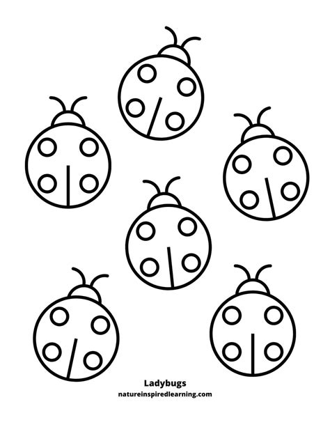 Ladybug Coloring