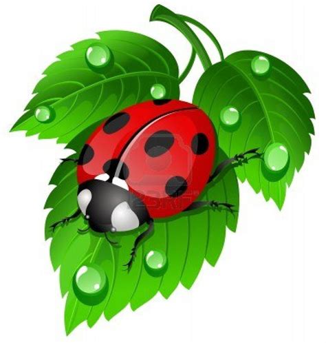 Ladybug art. Things To Know About Ladybug art. 