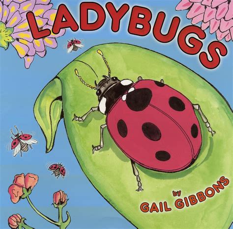 Ladybug children%27s book. 
