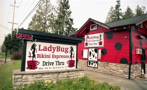 Ladybug espresso everett. 15.1 miles away from Ladybug Espresso Mika H. said "*After writing my review here the owner made the changes mentioned and I just wanna day this is the most incredibly little gem, I adore the staff, the atmosphere is so welcoming and clean! 