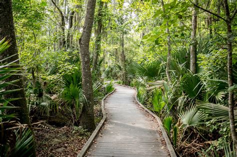 Lafitte swamp tour. 1. Jean Lafitte National Historical Park and Preserve. Stop: 105 minutes. Set out on a 1 hour and 45 minute tour on a 20,000-acre (8,095-hectare) tract of tidewater cypress swamp close to the Jean Lafitte National Historical Park and Preserve. Your airboat is powered by an aircraft propeller to allow a fast, fluid trip through the shallow marshes. 