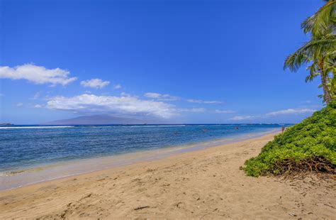 Lahaina shores. I have family who lives in Maui and they usually recommend Lahaina shores to visiting friends who cant afford the nicer hotels. Tpa-flyer likes this. Reply. Apr 18, 2021, 2:41 am #9 beachfan . Join Date: Sep 2002. Location: Thousand Oaks, Ca., USA. Programs: AA Lifetime Plat ... 