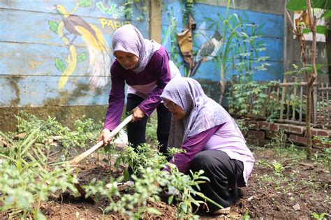 Diymembuat bunga anggrek dari plastik kresek