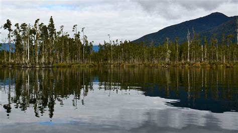 Lake Brunner area: Places to visit in the West Coast