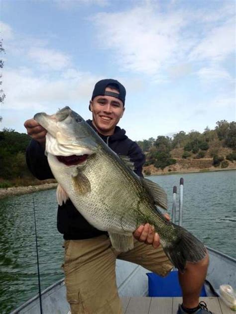 Lake Chabot Offers Big Bass And Trout In East Bay Foothills - Fish …