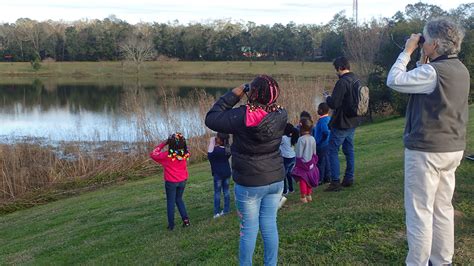 Lake Elberta Park A Tallahassee Bird Watching Oasis