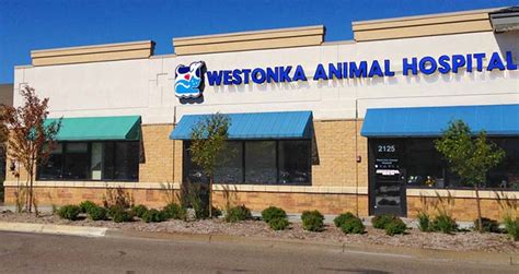 Lake Minnetonka Animal Hospital in Wayzata, MN is a ... - Wellness