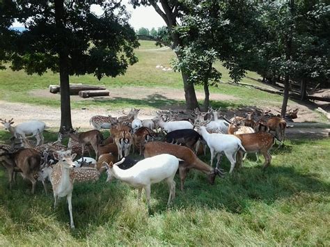 Lake Tobias Wildlife Park - Tripadvisor