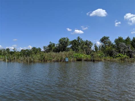 Lake Trafford FWC