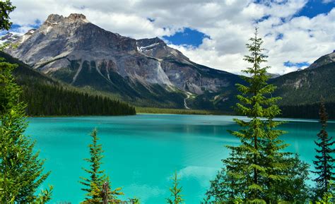  There are many different types of lakes in Alberta, from glacial lakes in the Canadian Rockies to small shallow lakes in the prairies, brown water lakes in the northern boreal forest and muskeg, kettle holes and large lakes with sandy beaches and clear water in the central plains. . 
