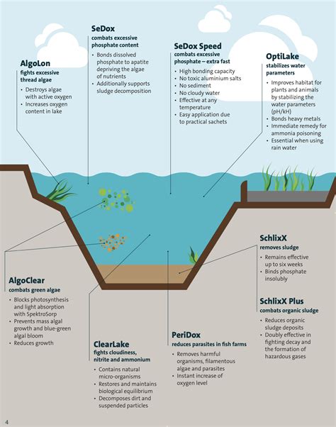 Lake and Pond Treatments