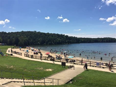 Lake anna state park. Take a taxi from Culpeper Amtrak Station to Lake Anna State Park; $76 - $295. 1 alternative option. Drive • 1h 30m. Drive from Manassas to Lake Anna State Park 69.1 miles; $12 - $19. Quickest way to get there Cheapest option Distance between. Questions & Answers. 