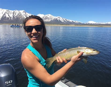 8-11-2023. Crowley Lake Fishing Report. Water Conditions: Fair Lake Elevation is at 6777.2, 3 feet... more ». The Trout Fitter Staff. . 