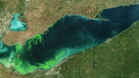 Lake erie noaa. Harmful Algal Bloom Forecasting. Our HAB forecasts alert coastal managers to blooms before they cause serious damage. Short-term (once or twiceweekly) forecasts identify which blooms are potentially harmful, where they are, how big they are, and where they arelikely to occur. Longer-term, seasonal forecasts predict the severity of HABs for the ... 