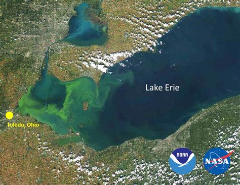 By the 1960s, Lake Erie had become extremely polluted, in part due to the heavy industry that lined its shores in Cleveland and other cities. Factories dumped pollutants into the lake and the waterways that flowed into it (like the Cuyahoga River) without much government oversight. Waste from city sewers made its way into the lake too, as did fertilizer and pesticides from agricultural runoff .... 