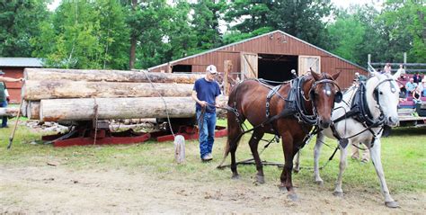 Lake itasca region pioneer farmers lirpf. By Robin Fish. August 21, 2019 at 9:02 AM. Share. In spite of major mechanical problems during part of last weekend’s Lake Itasca Region Pioneer Farmers (LIRPF) show, the … 