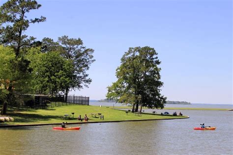 Lake livingston state park state park road 65 livingston tx. 300 State Park Rd 65, Livingston, TX 77351-1601. ... But Lake Livingston State Park is beautifully kept. The park store is well stocked. The grounds are clean. There ... 
