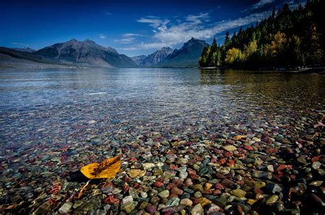 Lake mcdonald in glacier national park montana. Elevation varies from a low of 3150 feet (960 m) at the junction of the Middle and North Forks of the Flathead River (near the Lake McDonald valley to a high of 10,466 feet (3192 m) on Mt. Cleveland. There are 6 peaks over 10,000 feet (3050 m) and 32 peaks over 9100 feet (2770 m) found in Glacier National Park. 