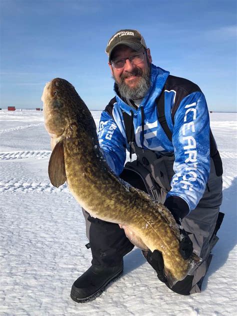 Lake of the Woods… The Eelpout (Burbot) Capital of …