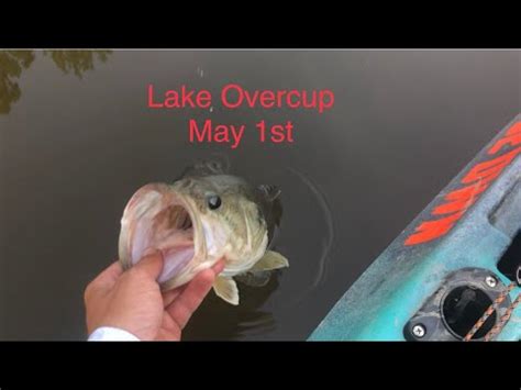 Lake overcup fishing report. About: - Located off Ark. 35 about five miles northwest of Monticello. Lake Monticello is a 1,520-acre impoundment that opened for fishing in 1997. It is owned by the city of Monticello and its fishery is overseen by the Arkansas Game and Fish Commission, which is managing the lake to produce trophy largemouth bass. 