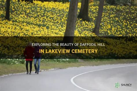 Lake view cemetery daffodil hill. .  ...