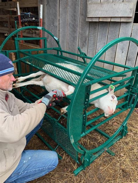 Lakeland sheep handling system. My Lakeland Sheep and Goat Handling System has been a HUGE game-changer for my farm! I've worked with Lakeland Farm and Ranch Direct to create 2 PORTABLE Han... 