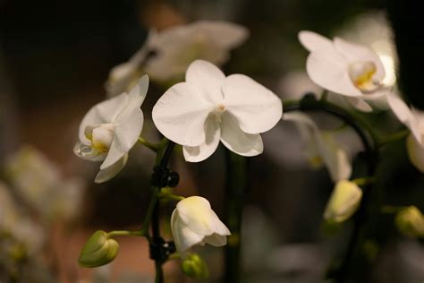 Lakeshore funeral home holland mi obituaries. .  <a href=https://drreal...