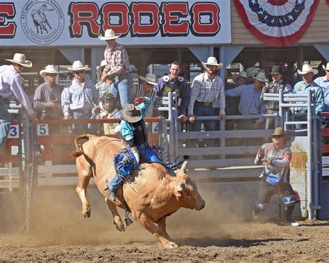 Lakeside rodeo. The El Capitan Stadium Association (Lakeside Rodeo) is a Non-Profit 501 c 3. Working Together to Benefit the Youth of Lakeside. 12584 Mapleview St., Lakeside, CA 92040 619-561-4331 