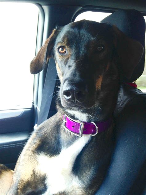 Lala Esmée Leaked [PPV] 🍆 56 Videos