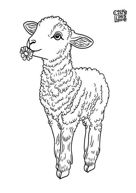 Print Fish Coloring Pages