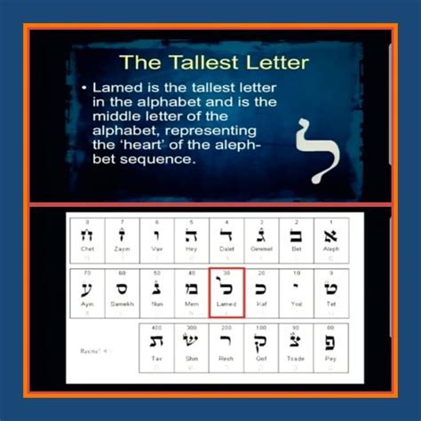 lamed: [noun] the 12th letter of the Hebrew alphabet — see Alphabet Table.. 