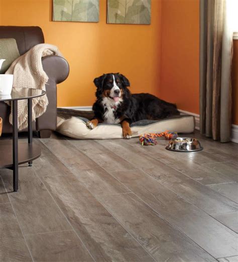 Laminate - Flooring Creations - Woodstock