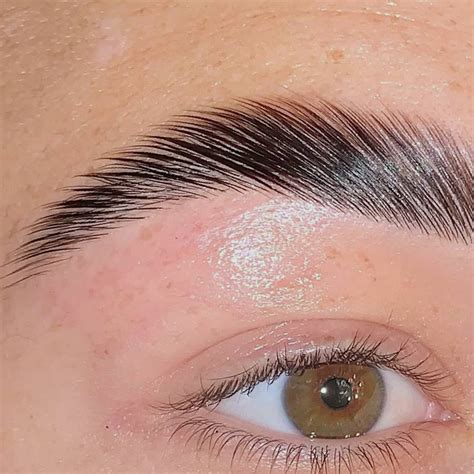 Laminated brows near me. 
