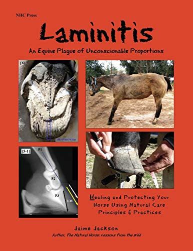 Read Online Laminitis An Equine Plague Of Unconscionable Proportions Healing And Protecting Your Horse Using Natural Principles  Practices By Jaime Jackson