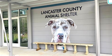 Public Browsing Hours: Tuesday, Wednesday, Thursday and Saturday: 10am - 2pm Other Hours By Appointment . Lancaster spca