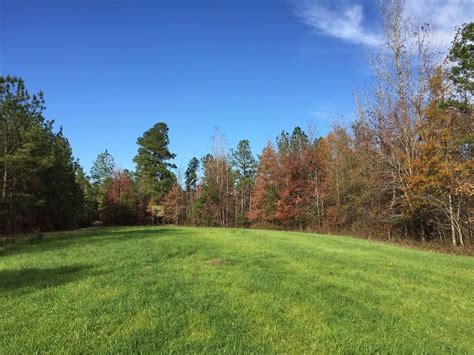 Land For Sale in Marengo County, Alabama