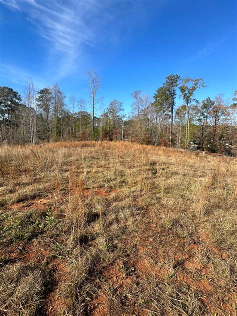 Land for sale auburn al. Things To Know About Land for sale auburn al. 