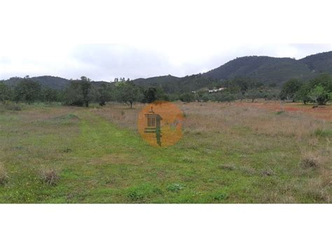 Land for sale in Salir, Salir, Loulé - Zoopla