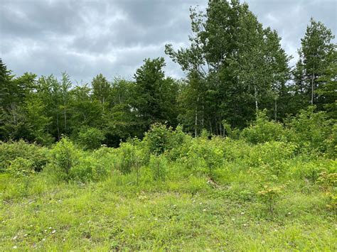 Land for sale in maine under $5000. Used Cars for Sale Under $5,000 in Auburn, ME. 04210. ... Maine Avenue Auto Sales. ... Used Land Rover For Sale. 