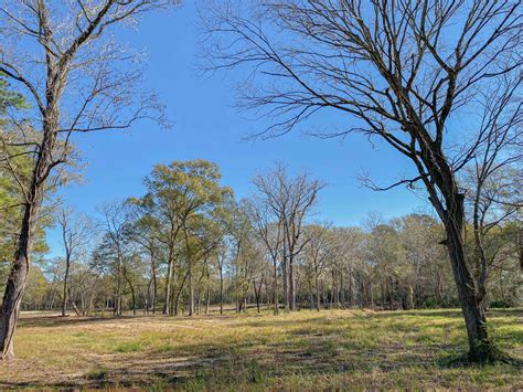 Land for sale in montgomery county. 3 beds • 2 baths • 1,800 sqft. 214 N Binford Avenue, Duck Hill, MS, 38925, Montgomery County. $395,750 • 174 acres. Tom Mans Road Road, Vaiden, MS, 39176, Montgomery County. Home - United States - Mississippi - Pines Mississippi - Montgomery County. LandWatch has 15 land listings for sale in Montgomery County, MS. Browse our … 