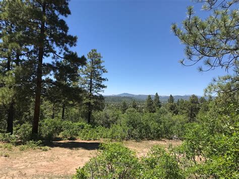Land for sale in nm. - Lot / Land for sale. Show more. 130 days on Zillow. 0 Chama Est, Chama, NM 87520. REALTY ONE OF CHAMA. Listing provided by SFARMLS. $58,000. 10 acres lot - Lot / Land for sale. Show more. 298 days on Zillow ... (“IDX”) program of the New Mexico Multi-Board MLS. Real Estate listings held by brokers other than Zillow, Inc. are marked with ... 