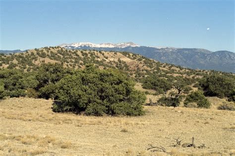 Land for sale in southern colorado. Things To Know About Land for sale in southern colorado. 