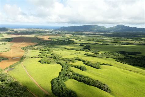 Land for sale kauai. Search land for sale in Kauai County HI. Find lots, acreage, rural lots, and more on Zillow. This browser is no longer supported. ... - Lot / Land for sale. 131 days on Zillow. 12 Pohaiula Pl, Lihue, HI 96766. HOKUALA REAL ESTATE. $978,000. 0.5 acres lot - Lot / Land for sale. 322 days on Zillow 
