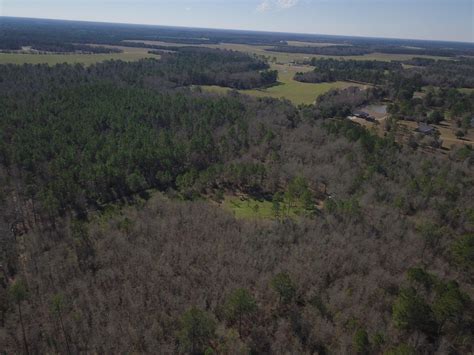 Land for sale worth county ga. Things To Know About Land for sale worth county ga. 