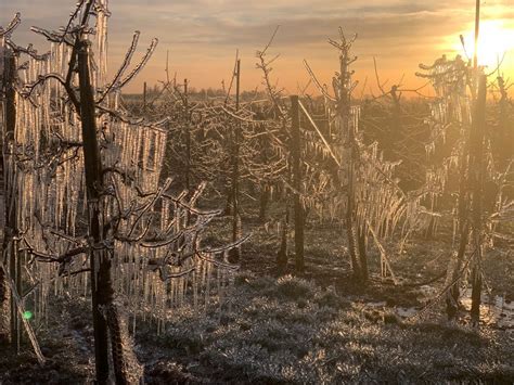 Land frost. Things To Know About Land frost. 
